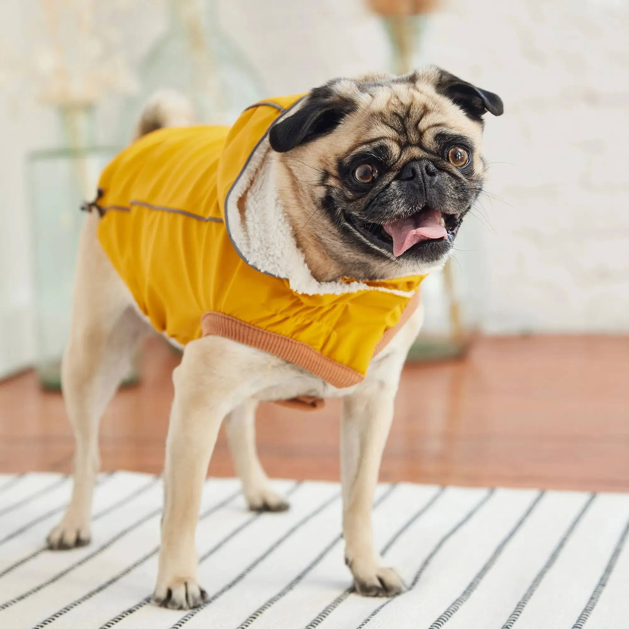 Waterproof Insulated Dog Raincoat – Elasto-Fit with Warm Sherpa Lining