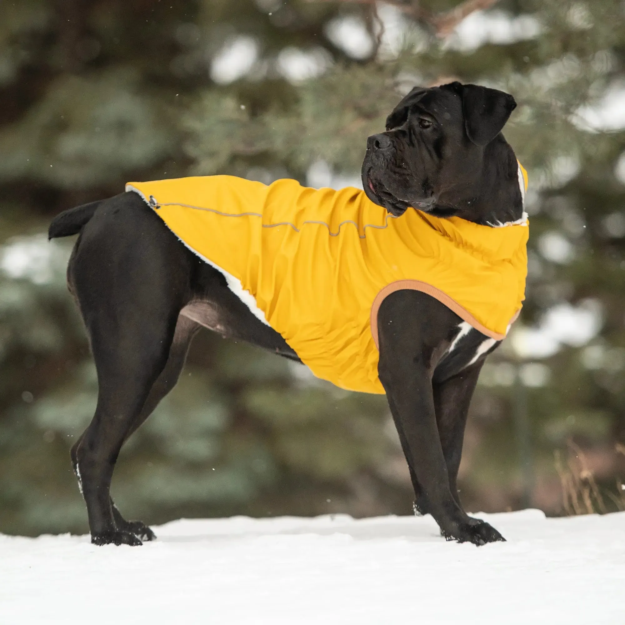 Waterproof Insulated Dog Raincoat – Elasto-Fit with Warm Sherpa Lining
