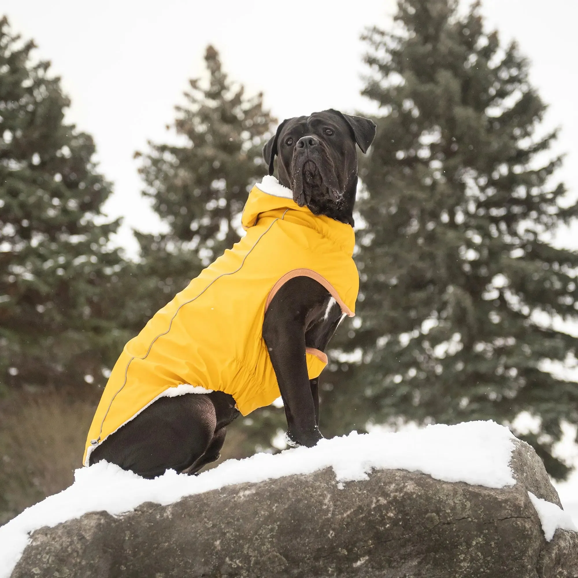 Waterproof Insulated Dog Raincoat – Elasto-Fit with Warm Sherpa Lining